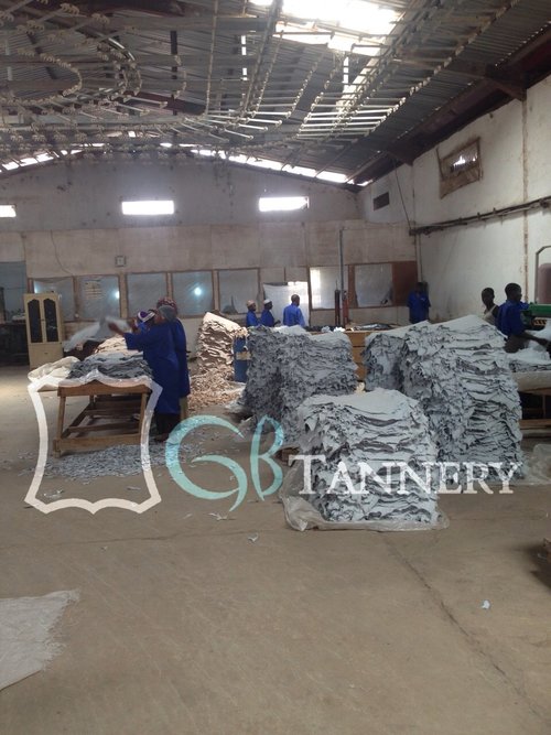 GB Tannery Limited